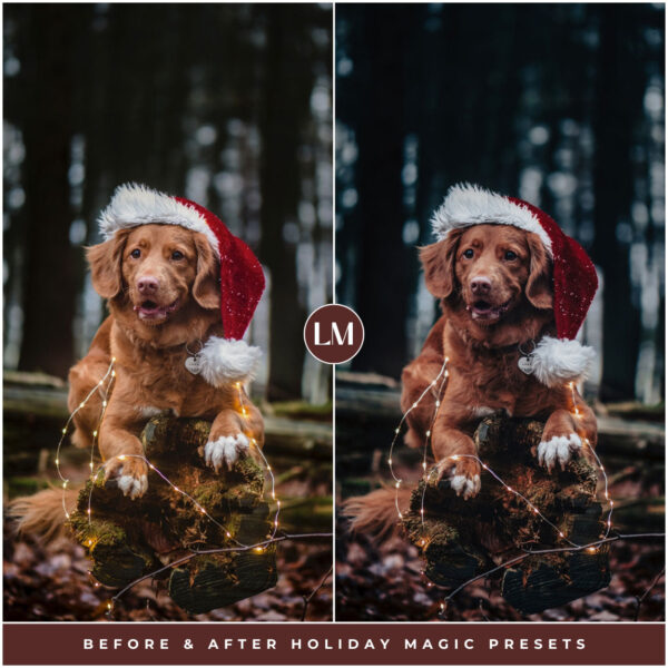 Holiday Magic Preset Collection By Primosy - Image 2