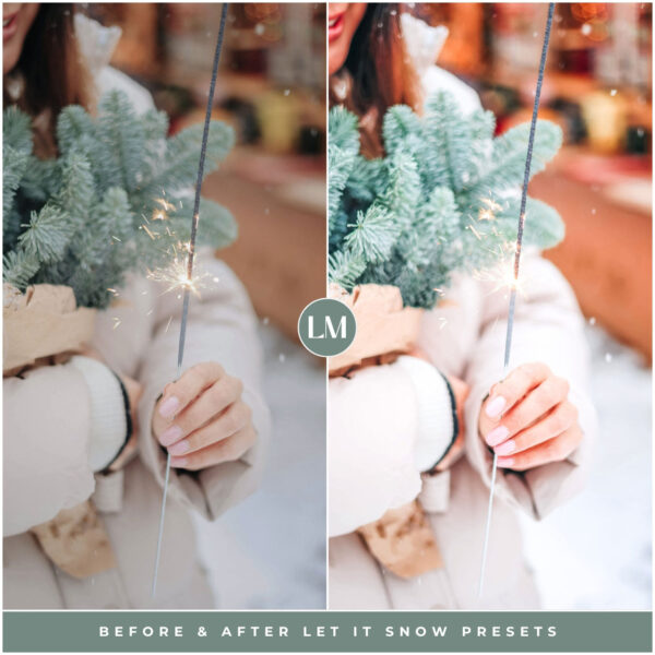 Let It Snow Preset Collection By Primosy - Image 8