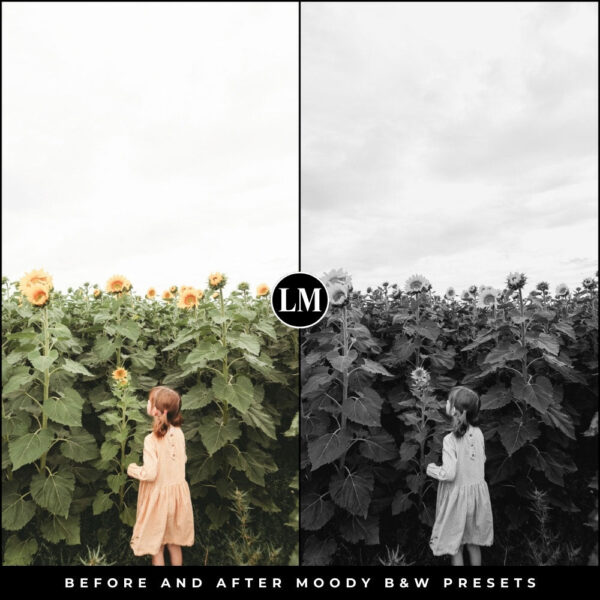 Moody Black & White Preset Collection By Primosy - Image 9