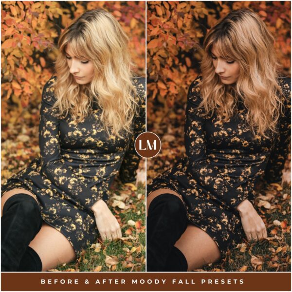 Moody Fall Preset Collection By Primosy - Image 8
