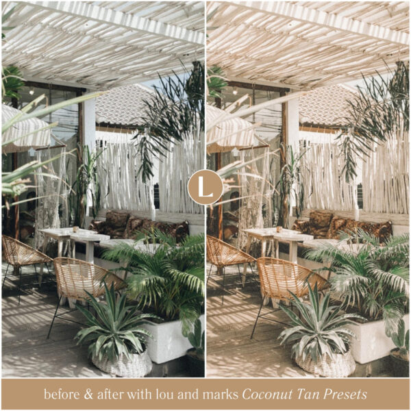 Coconut Tan Preset Collection By Primosy - Image 10