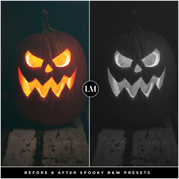 Spooky Black & White Preset Collection By Primosy - Image 10