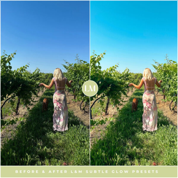 Subtle Glow Preset Collection By Primosy - Image 12