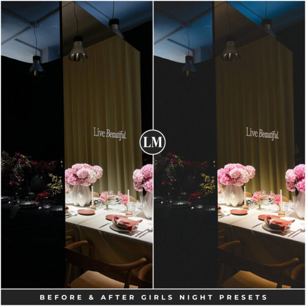 Girls Night Preset Collection By Primosy - Image 9