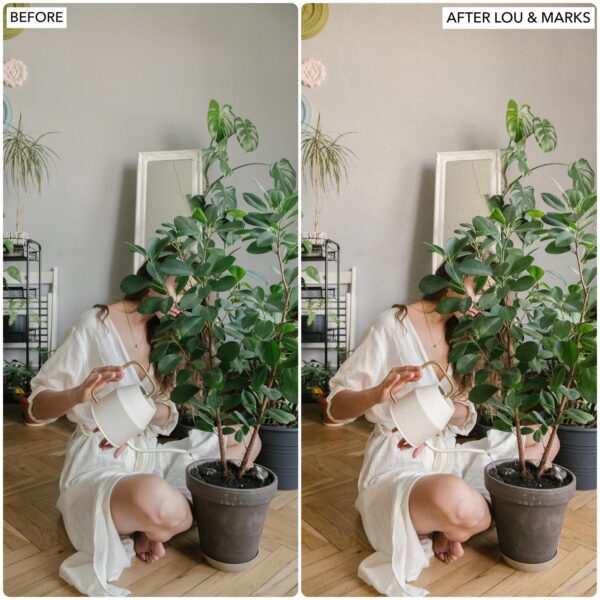 No Filter Preset Collection By Primosy - Image 9