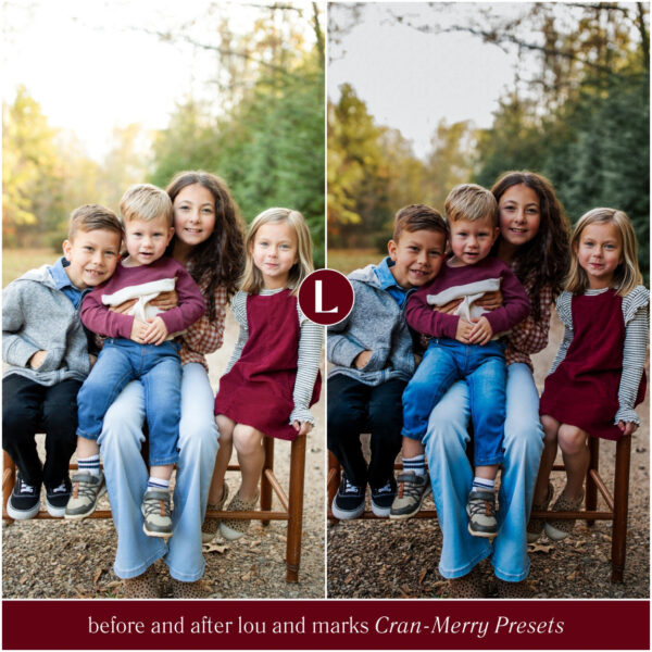 Cran-Merry Preset Collection By Primosy - Image 12
