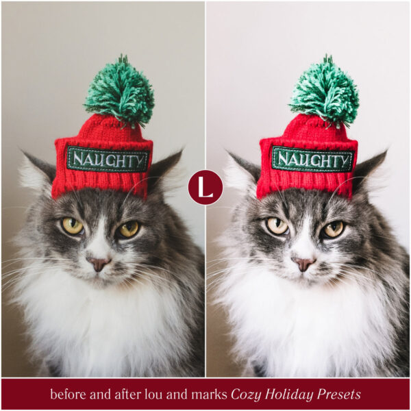 Cozy Holiday Christmas Preset Collection By Primosy - Image 7