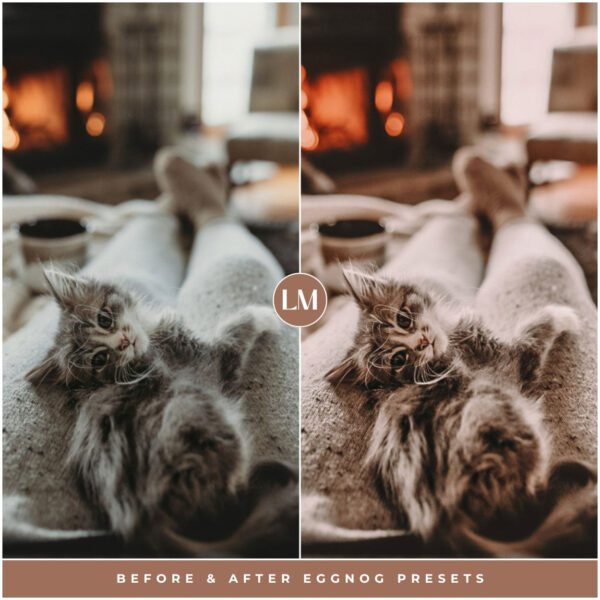 Eggnog Preset Collection By Primosy - Image 8