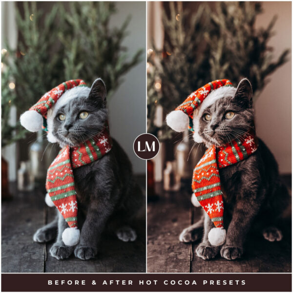 Hot Cocoa Preset Collection By Primosy - Image 18