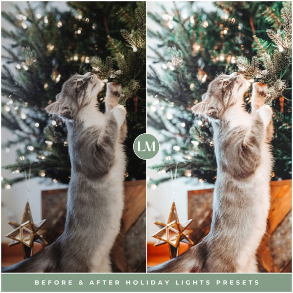 Holiday Lights Preset Collection By Primosy - Image 13