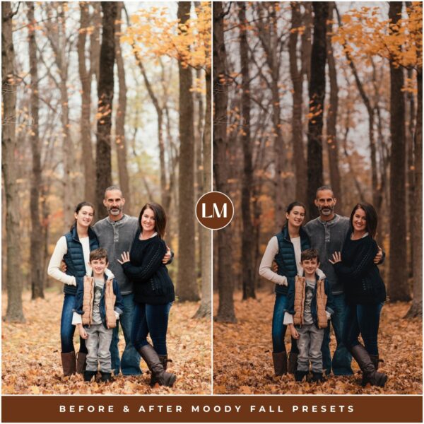 Moody Fall Preset Collection By Primosy - Image 4