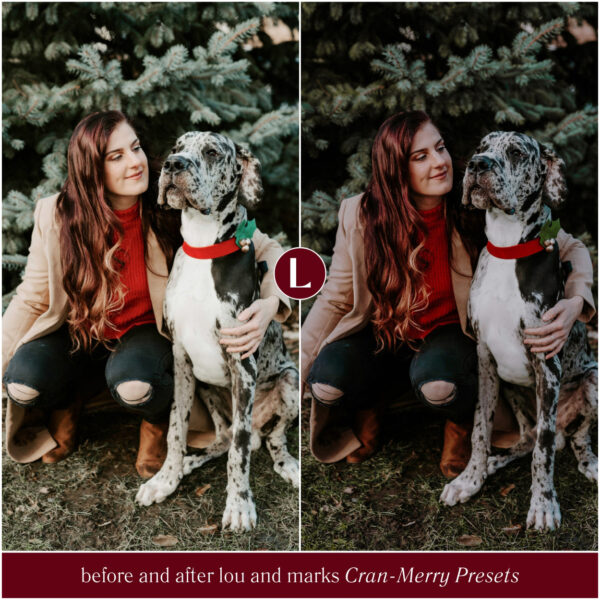 Cran-Merry Preset Collection By Primosy - Image 14