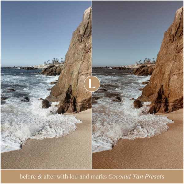Coconut Tan Preset Collection By Primosy - Image 13