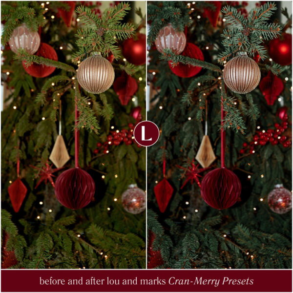 Cran-Merry Preset Collection By Primosy - Image 7