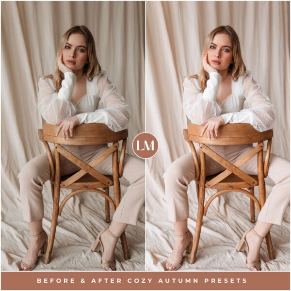 Cozy Autumn Preset Collection By Primosy - Image 2