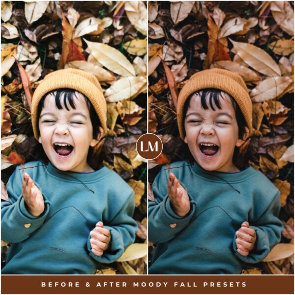 Moody Fall Preset Collection By Primosy - Image 16