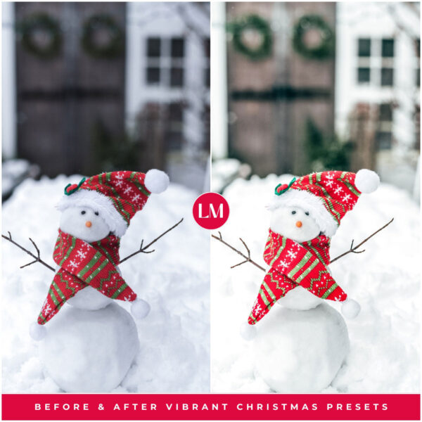 Vibrant Christmas Preset Collection By Primosy - Image 5