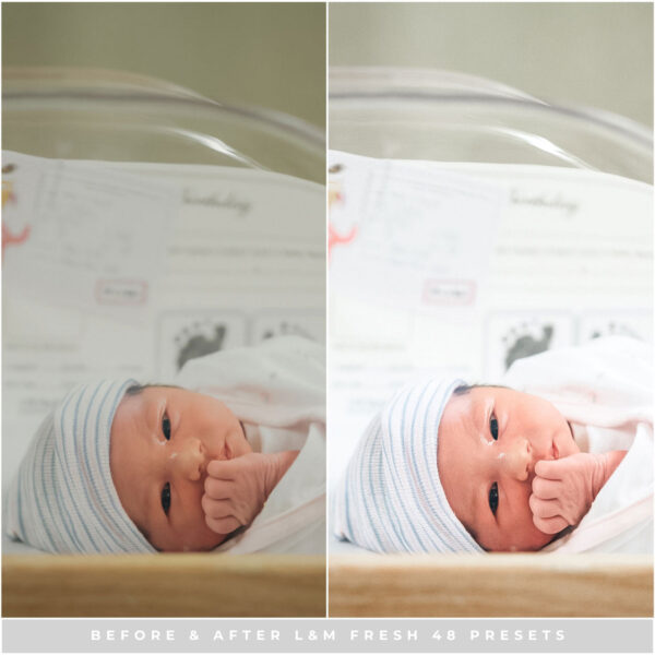 Fresh 48 Preset Collection By Primosy - Image 4