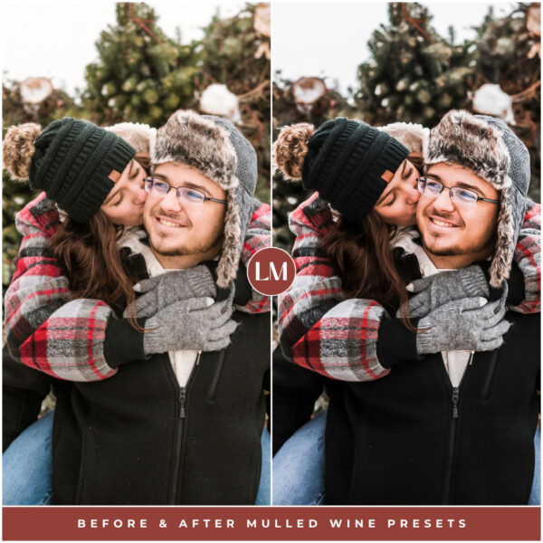 Mulled Wine Preset Collection By Primosy - Image 8