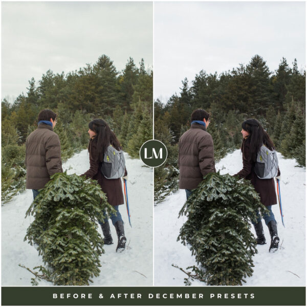 December Preset Collection By Primosy - Image 11