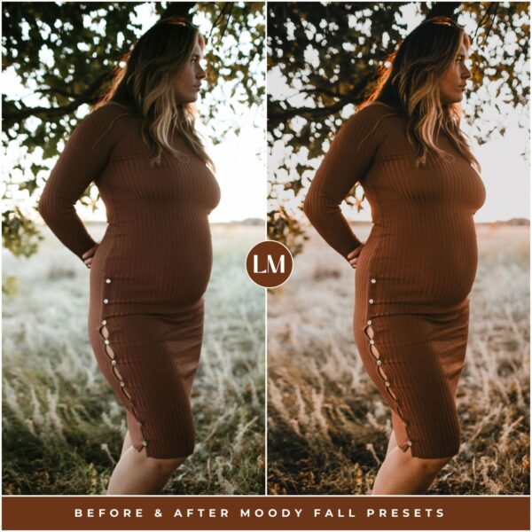 Moody Fall Preset Collection By Primosy - Image 2