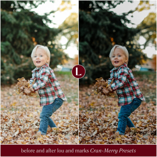 Cran-Merry Preset Collection By Primosy - Image 6