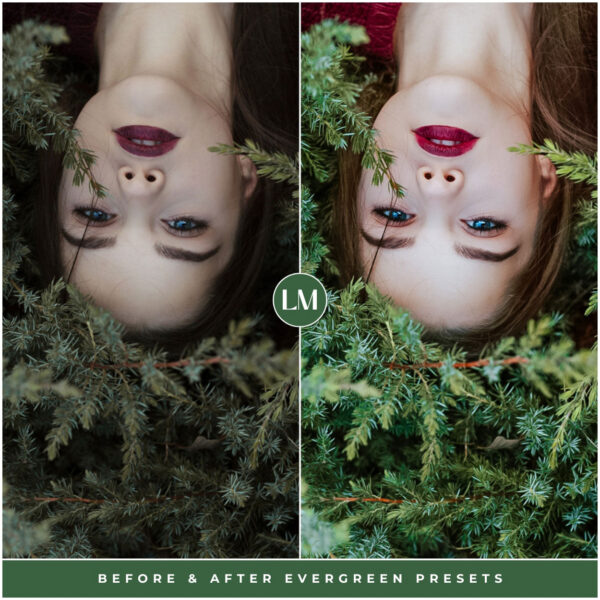 Evergreen Preset Collection By Primosy - Image 14