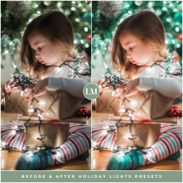 Holiday Lights Preset Collection By Primosy - Image 12