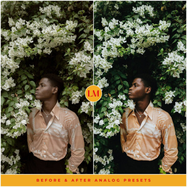 Analog Film Preset Collection By Primosy - Image 7