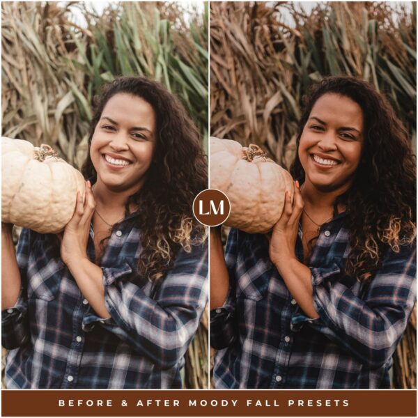 Moody Fall Preset Collection By Primosy - Image 7