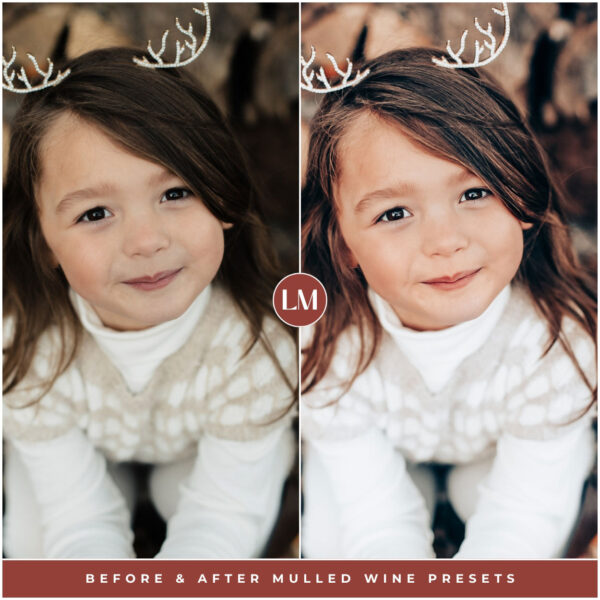 Mulled Wine Preset Collection By Primosy - Image 2