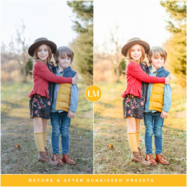 Sunkissed Preset Collection By Primosy - Image 2