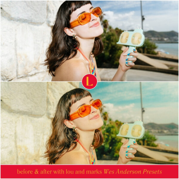 Wes Anderson Style Preset Collection By Primosy - Image 17