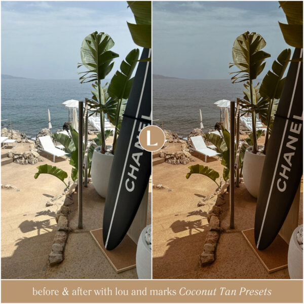 Coconut Tan Preset Collection By Primosy - Image 4