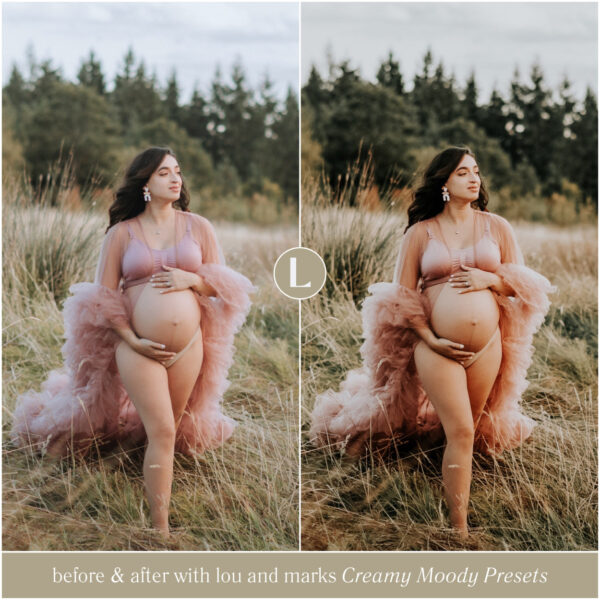 Moody Preset Bundle By Primosy - Image 8