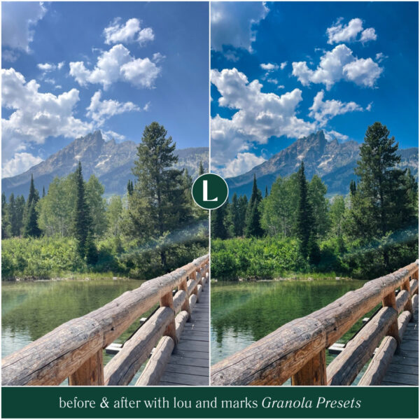 Granola Preset Collection By Primosy - Image 13