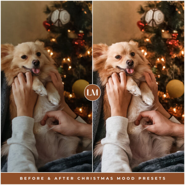 Christmas Mood Preset Collection By Primosy - Image 2