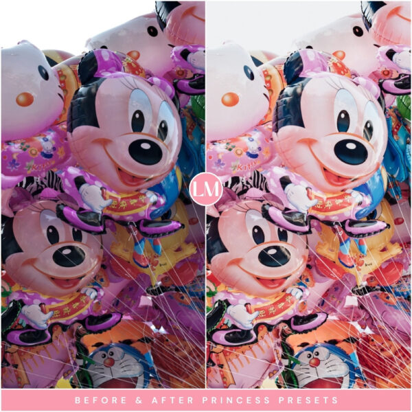 Princess Preset Collection By Primosy - Image 6