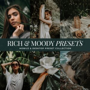 Rich Moody Preset Collection By Primosy