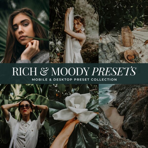 Rich Moody Preset Collection By Primosy