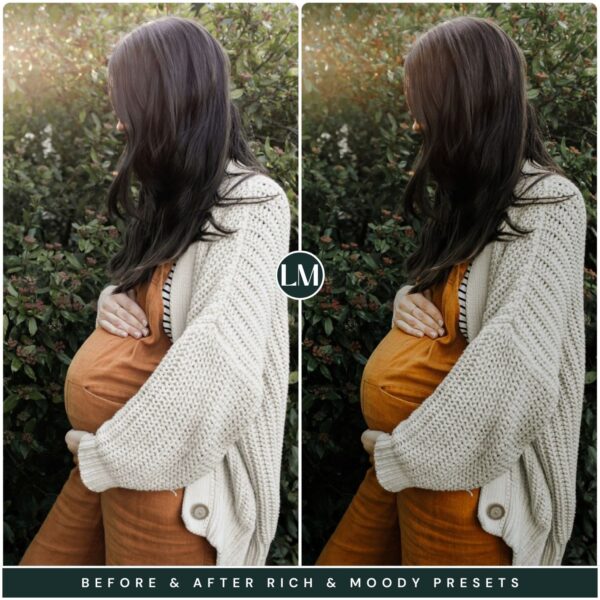 Rich Moody Preset Collection By Primosy - Image 3