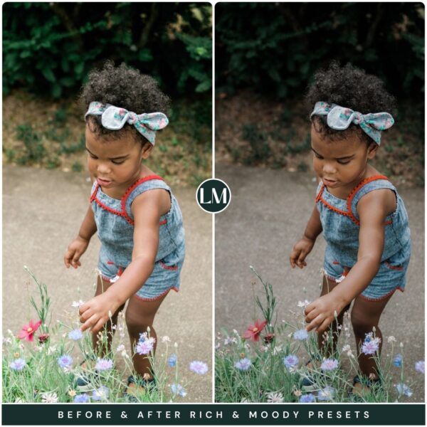 Rich Moody Preset Collection By Primosy - Image 8
