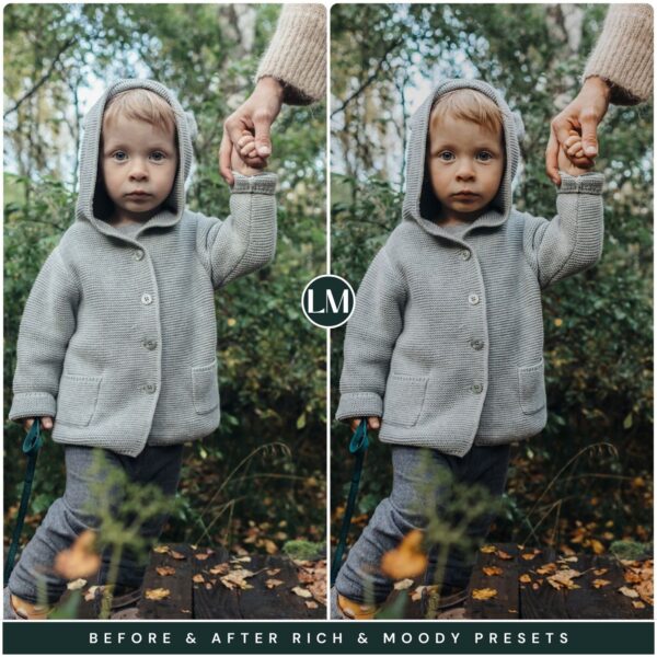Rich Moody Preset Collection By Primosy - Image 6