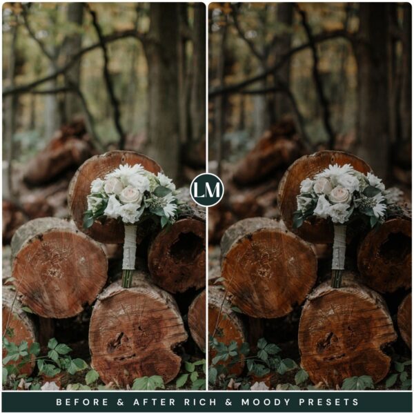 Rich Moody Preset Collection By Primosy - Image 5