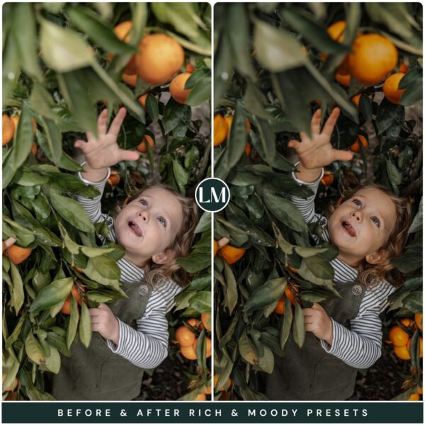 Rich Moody Preset Collection By Primosy - Image 2