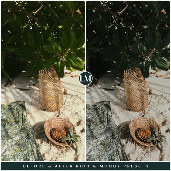 Rich Moody Preset Collection By Primosy - Image 11
