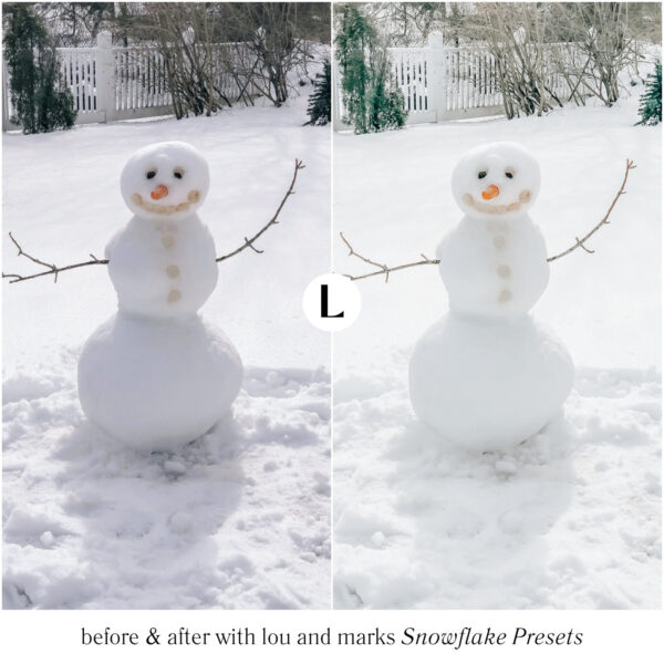 Snowflake Preset Collection By Primosy - Image 5