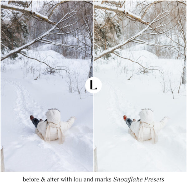 Snowflake Preset Collection By Primosy - Image 7