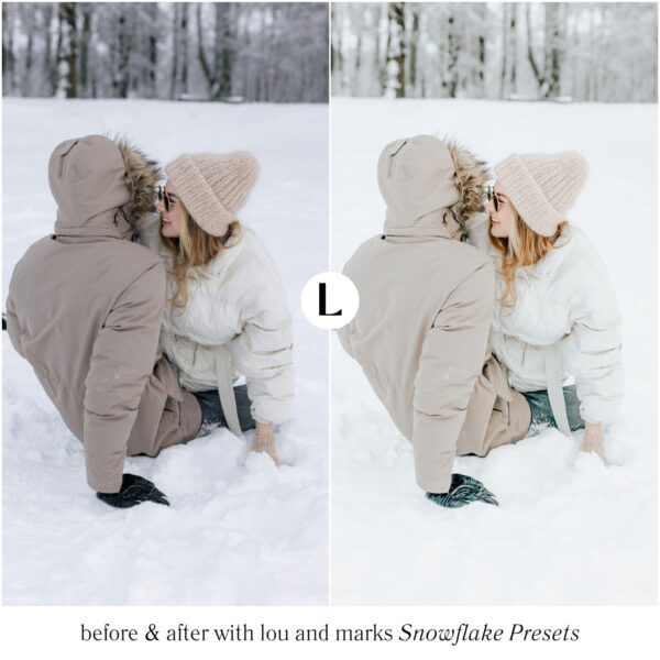 Snowflake Preset Collection By Primosy - Image 3