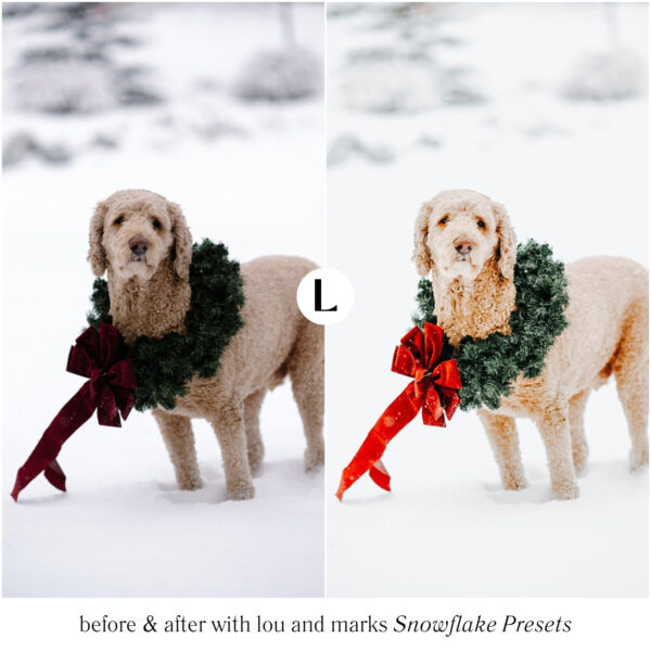Snowflake Preset Collection By Primosy - Image 2